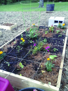 Gardening in Garland