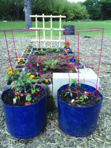 Community Garden in Garland