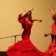 flamenco1