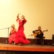 flamenco4
