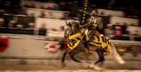 Medieval Times in Garland