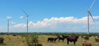 GP&L Offers 100% Renewable Power Option